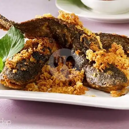 Gambar Makanan Seafood Nasi Uduk Kisti 67 AMD 15