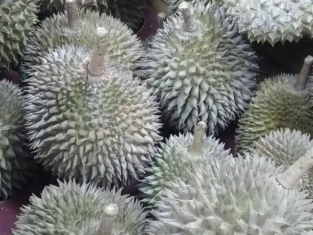 Gambar Makanan Rumah Durian Harum 7