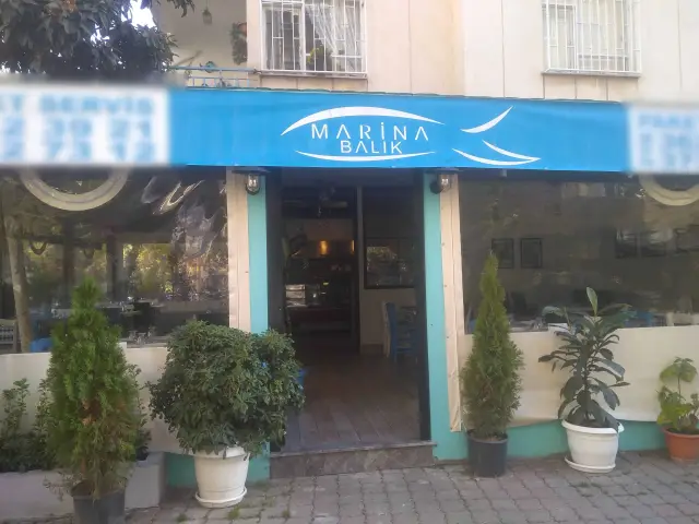 Marina Balık'nin yemek ve ambiyans fotoğrafları 34