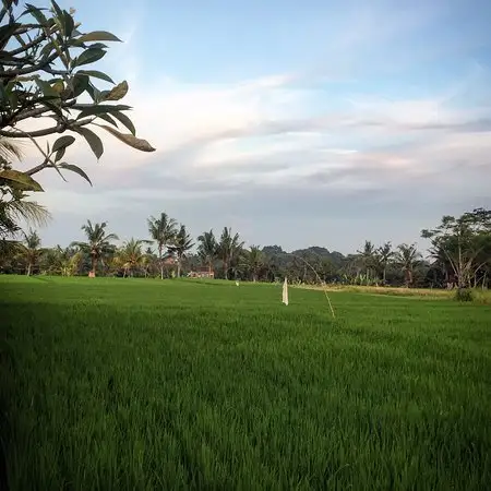 Gambar Makanan Warung Mandi 19