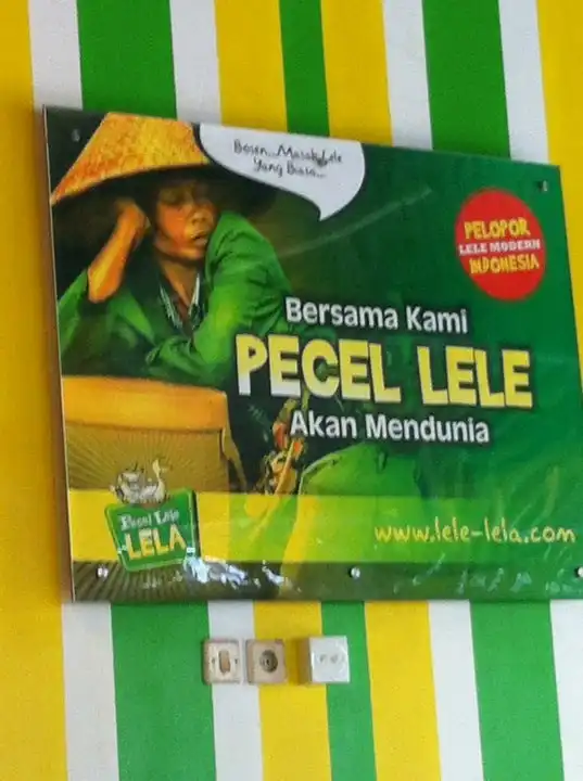 Gambar Makanan Pecel Lele Lela 13