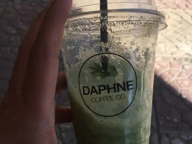 Daphne Coffee Co.'nin yemek ve ambiyans fotoğrafları 2