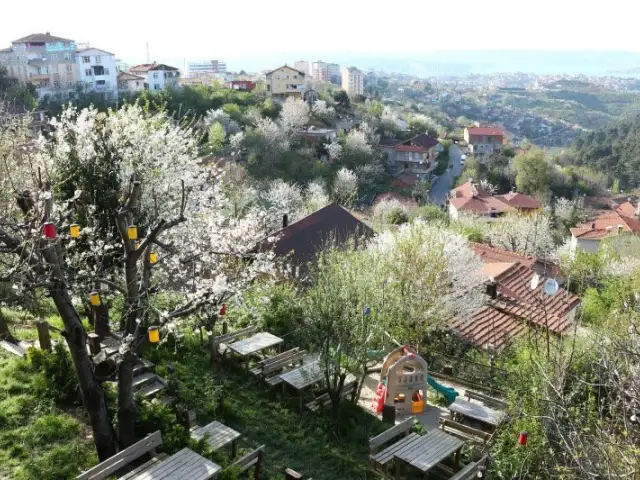 Muhlama Karadeniz Mutfagı'nin yemek ve ambiyans fotoğrafları 27