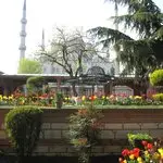 Sultan's Restaurant'nin yemek ve ambiyans fotoğrafları 2