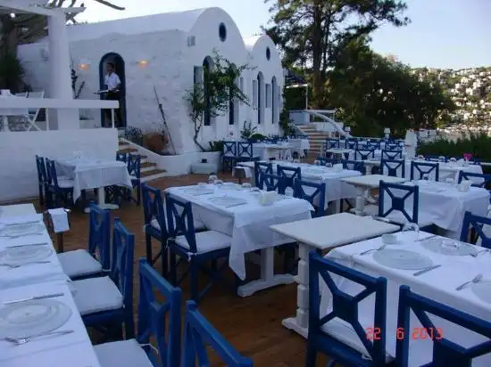 Archipelago Restaurant'nin yemek ve ambiyans fotoğrafları 5