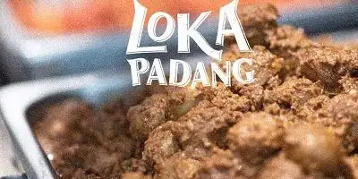 Loka Padang, Paladian Park