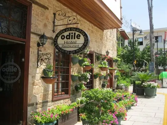 Odile Hotel Restaurant'nin yemek ve ambiyans fotoğrafları 1