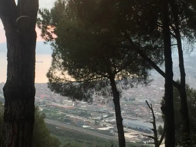 Aytepe Cafe Restorant Kahvaltı Salonu'nin yemek ve ambiyans fotoğrafları 3