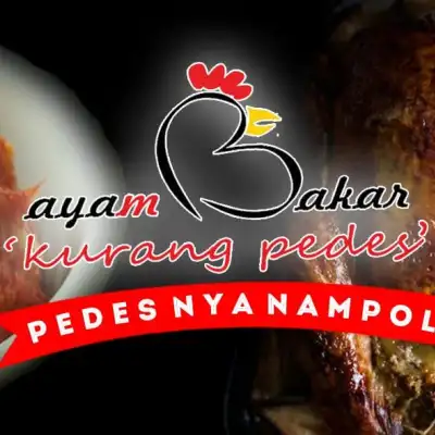 Ayam Penyet Cabe Ijo V6, Cilodong