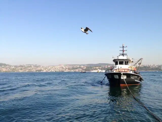 Nimet Abla Balık Ekmek'nin yemek ve ambiyans fotoğrafları 3