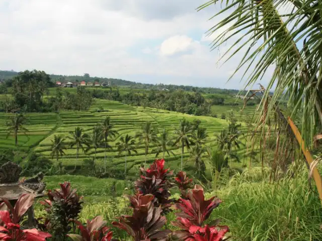 Gambar Makanan Warung Dhea, Jatiluwih 9