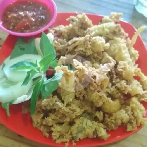 Gambar Makanan Lalapan Felina, Lowokwaru 20