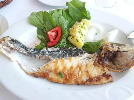 Mostra Balık'nin yemek ve ambiyans fotoğrafları 22