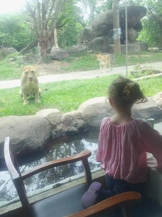 Gambar Makanan Tsavo Lion Restaurant 4