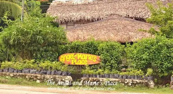Angel and Marie's Surfer's Retreat