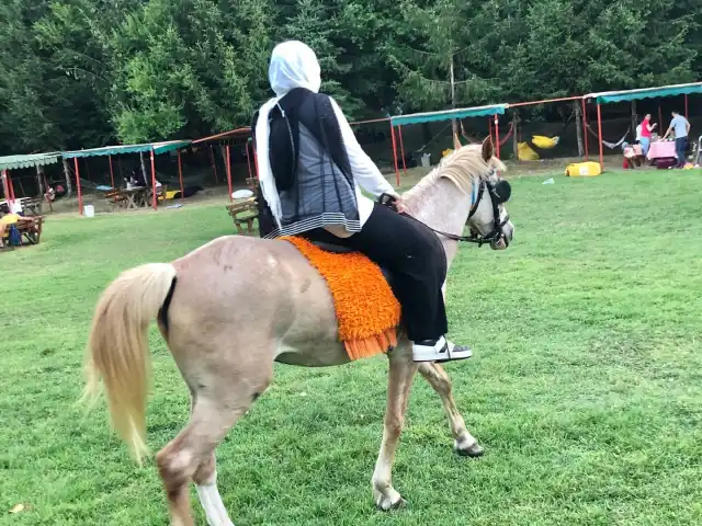 Wind Garden Park'nin yemek ve ambiyans fotoğrafları 2