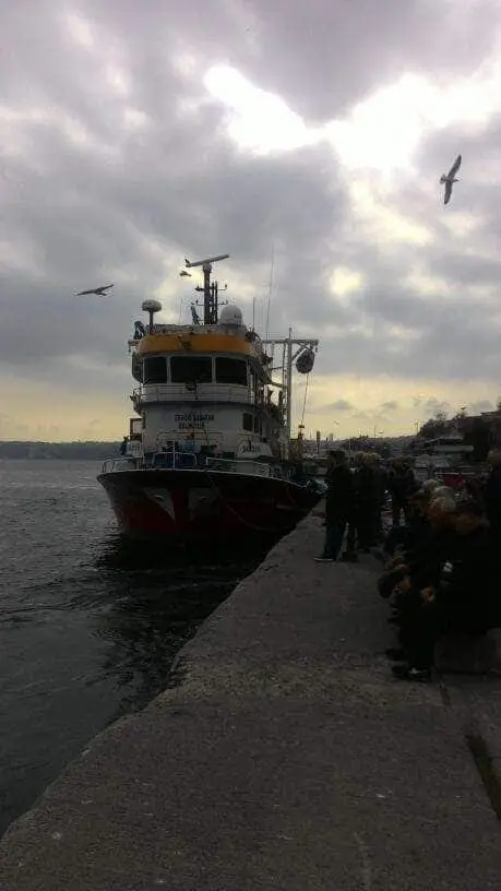 Sarıyer Spor Kulübü Kafeteryası'nin yemek ve ambiyans fotoğrafları 11