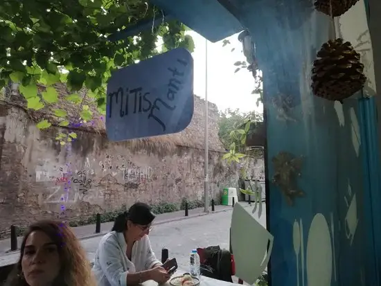 Mitis Mantı ve Cafe'nin yemek ve ambiyans fotoğrafları 44