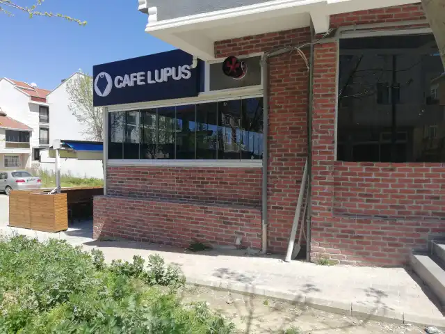 Lupus Cafe & Restaurant'nin yemek ve ambiyans fotoğrafları 2