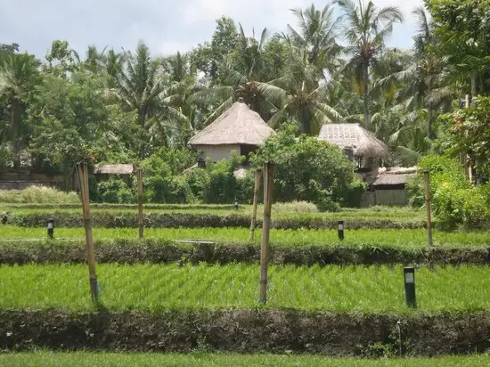 Gambar Makanan Saren Indah Restaurant 10