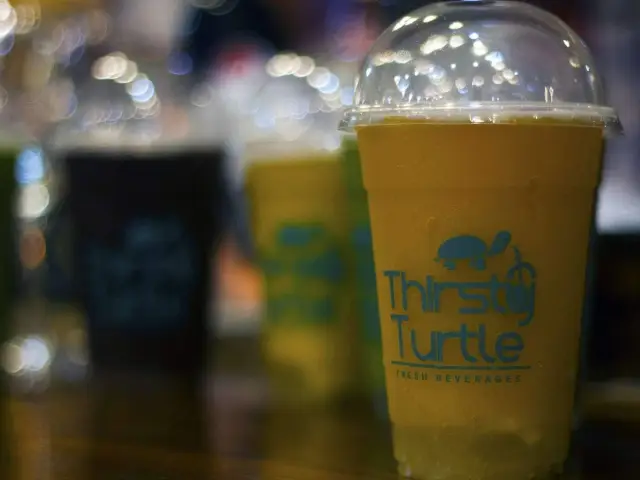 Thirsty Turtle Food Photo 11