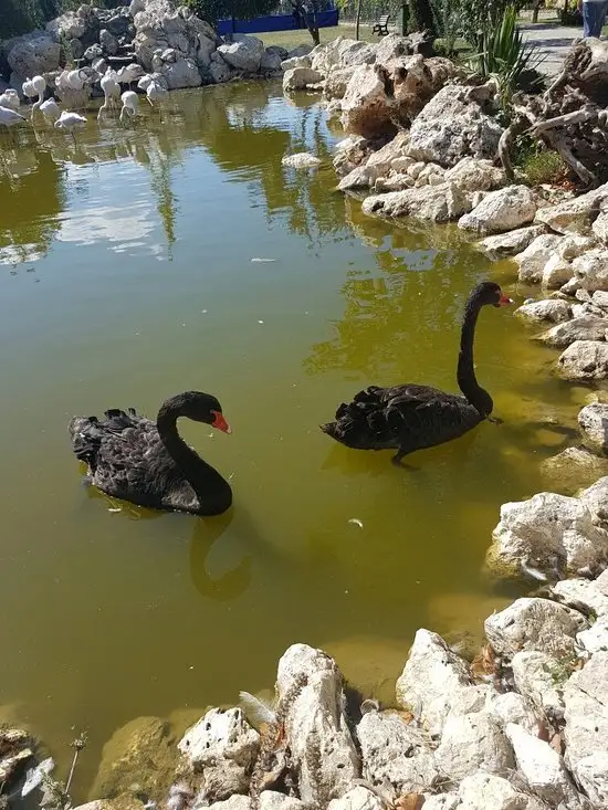 FlamingoKöy Kahvaltı Barbekü'nin yemek ve ambiyans fotoğrafları 6