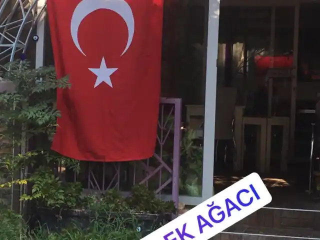 Cafe Dilek Ağacı'nin yemek ve ambiyans fotoğrafları 2