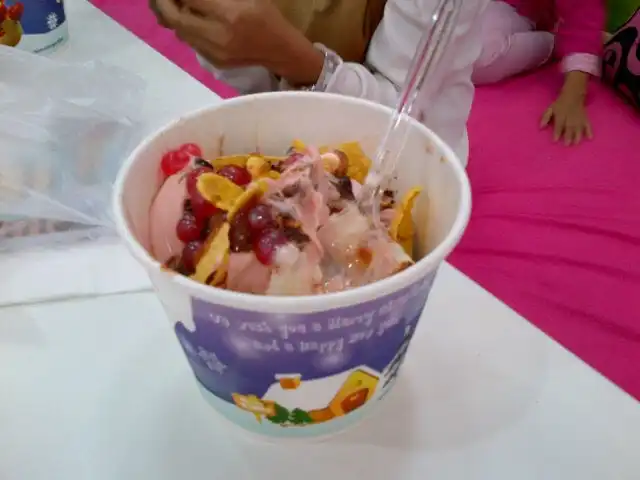 Snogurt Food Photo 11