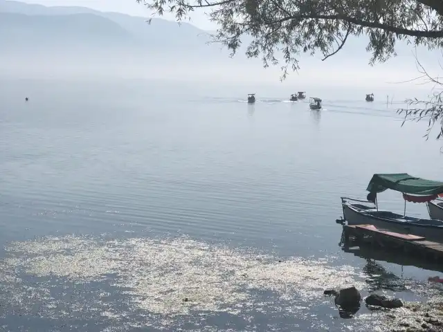 Leylek Kahvaltı Gözleme'nin yemek ve ambiyans fotoğrafları 4