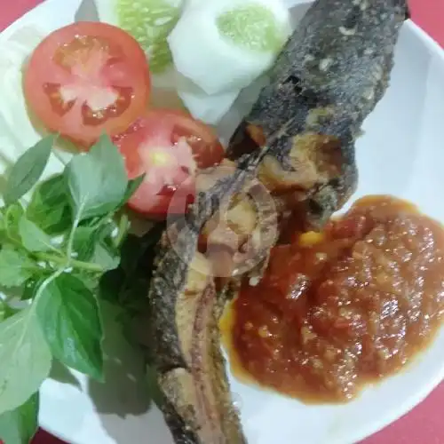 Gambar Makanan Pecel Lele Menu Idola 4