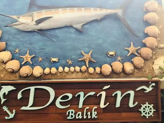 Derin Balık Evi'nin yemek ve ambiyans fotoğrafları 60