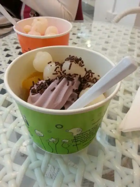 Tutti Frutti Frozen Yogurt Food Photo 12