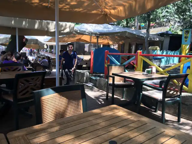 Yeşil Mavi Cafe'nin yemek ve ambiyans fotoğrafları 40