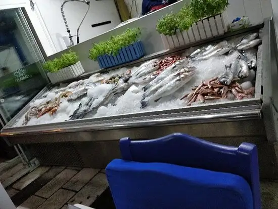 Dayı Balık Market & Restaurant'nin yemek ve ambiyans fotoğrafları 59