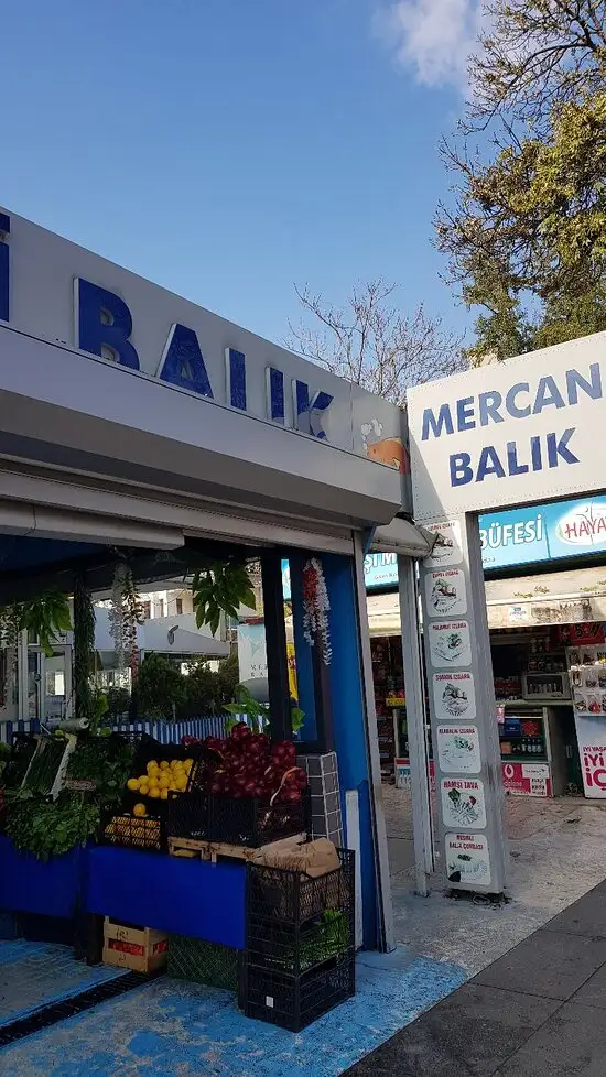 Mercan Balık'nin yemek ve ambiyans fotoğrafları 24