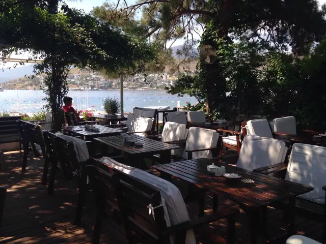 Bodrum Mantı & Cafe'nin yemek ve ambiyans fotoğrafları 5