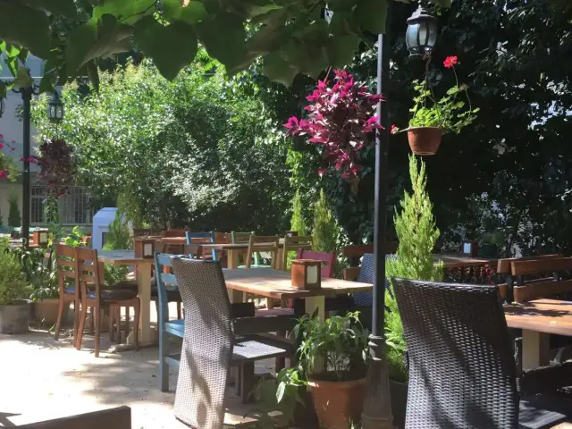 Zeytin Kafe & Bar'nin yemek ve ambiyans fotoğrafları 22