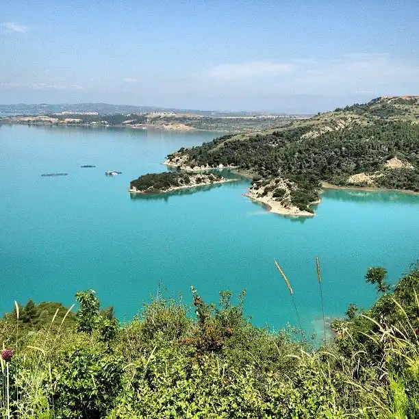 Turkuaz Cafe'nin yemek ve ambiyans fotoğrafları 6