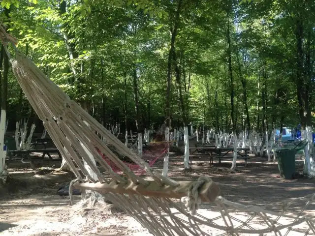 Dereli Vadi Restaurant'nin yemek ve ambiyans fotoğrafları 1