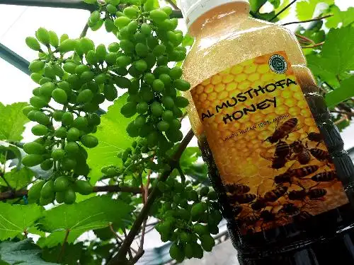 ALMUSTHOFA HONEY MADU HUTAN MURNI