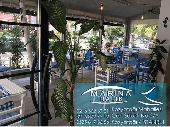 Marina Balık'nin yemek ve ambiyans fotoğrafları 2