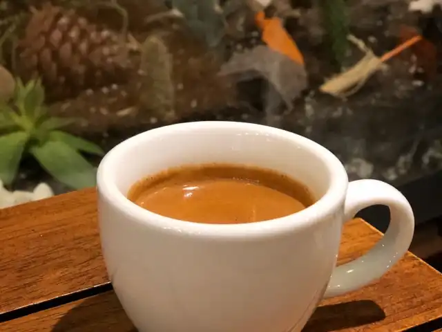 Cactus Coffee'nin yemek ve ambiyans fotoğrafları 12