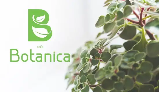Cafe Botanica'nin yemek ve ambiyans fotoğrafları 1