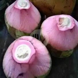 Gambar Makanan Jamila kelapa n Gadogado 16