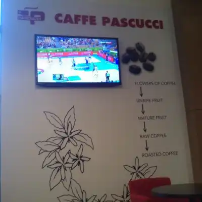 Caffe Pascucci