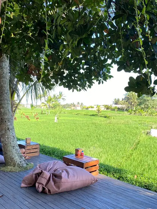 Gambar Makanan Kelapa Muda Ubud 10