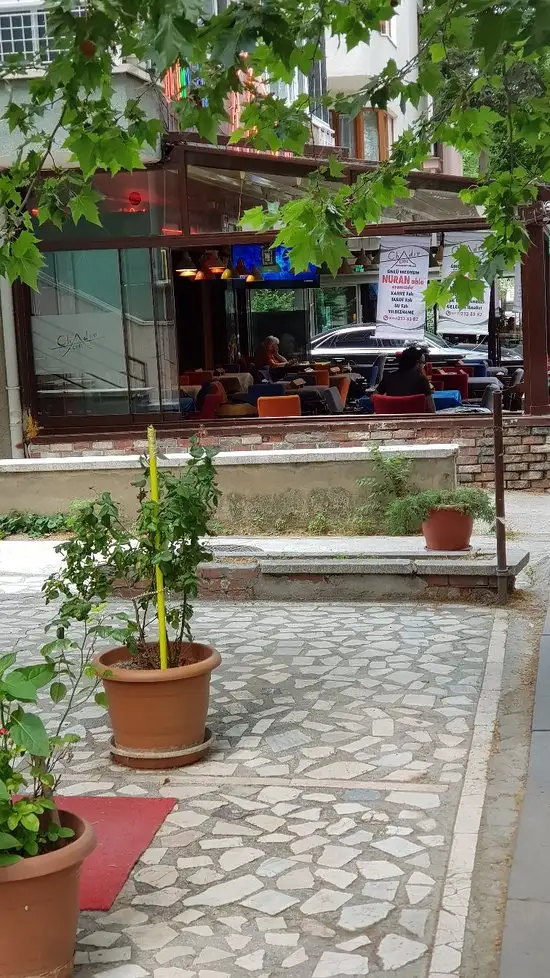 Chadir Cafe'nin yemek ve ambiyans fotoğrafları 7