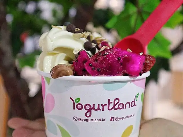 Gambar Makanan Yogurtland 20