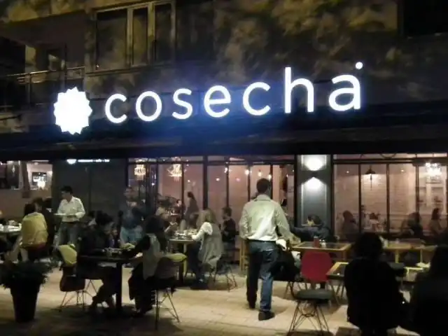 Cafe Cosecha'nin yemek ve ambiyans fotoğrafları 13