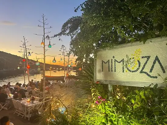 Mimoza'nin yemek ve ambiyans fotoğrafları 16